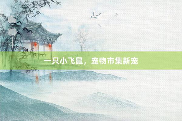 一只小飞鼠，宠物市集新宠