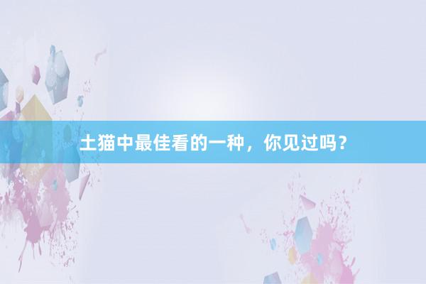 土猫中最佳看的一种，你见过吗？