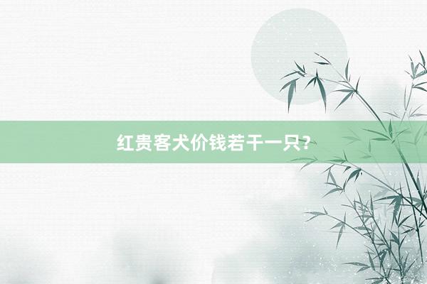 红贵客犬价钱若干一只？